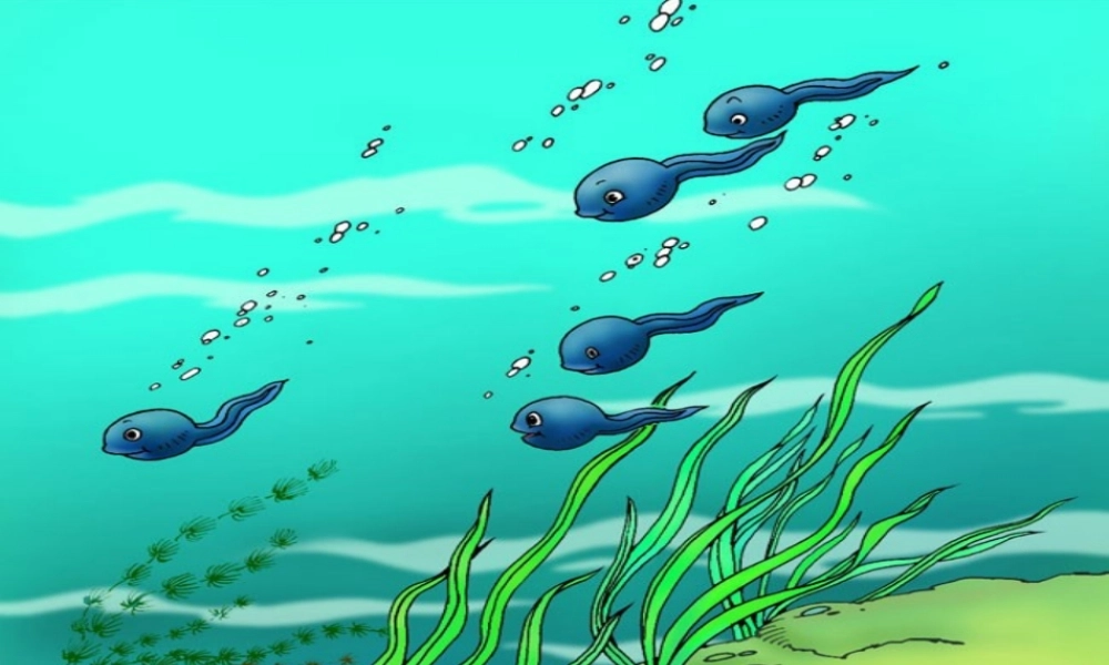 （秋季版）一年级语文下册 课文4 15《小蝌蚪找妈妈》课件1 语文S版-语文S版小学一年级下册语文课件