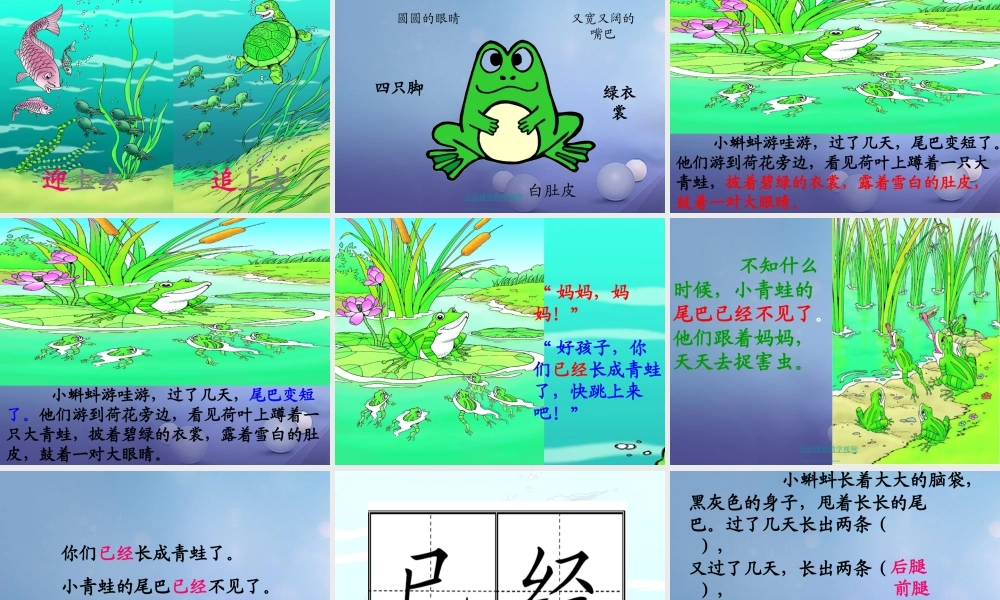 （秋季版）一年级语文下册 课文4 15《小蝌蚪找妈妈》课件1 语文S版-语文S版小学一年级下册语文课件