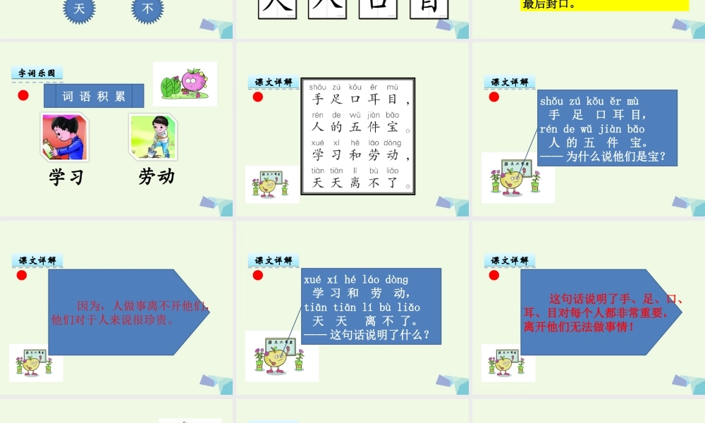 （秋季版）一年级语文上册 识字1 手足口耳目课件3 语文S版-语文S版小学一年级上册语文课件