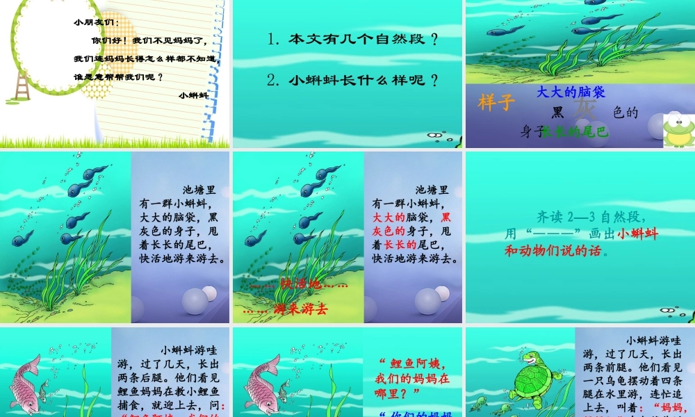（秋季版）一年级语文下册 课文4 15《小蝌蚪找妈妈》课件2 语文S版-语文S版小学一年级下册语文课件