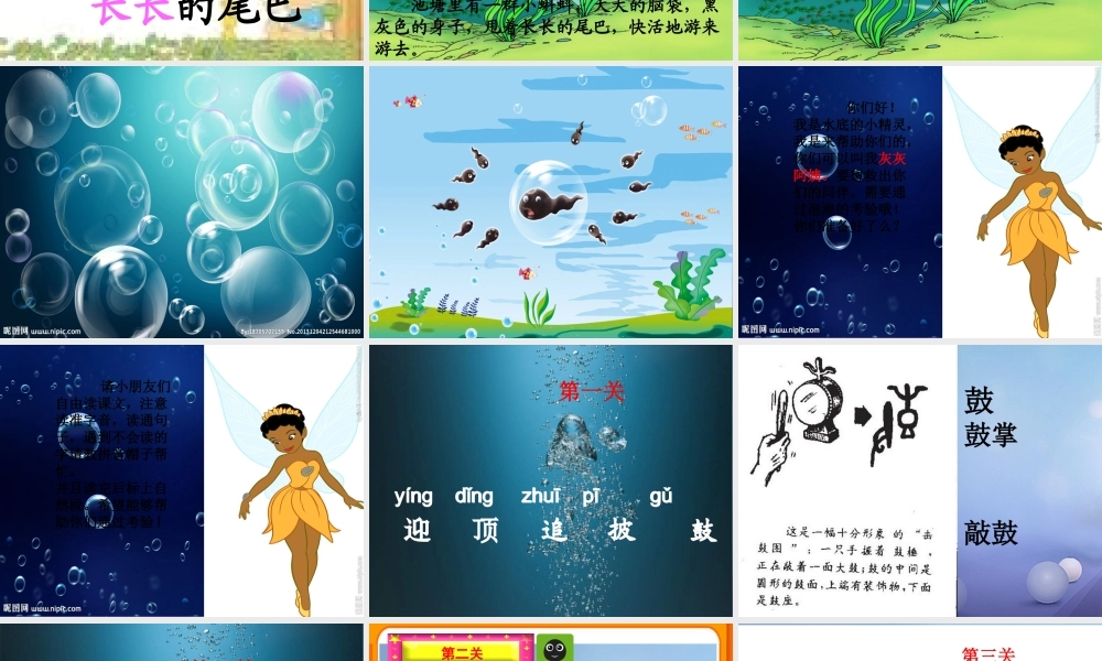 （秋级语文下册 课文4 15《小蝌蚪找妈妈》课件3 语文S版-语文S级下册语文课件