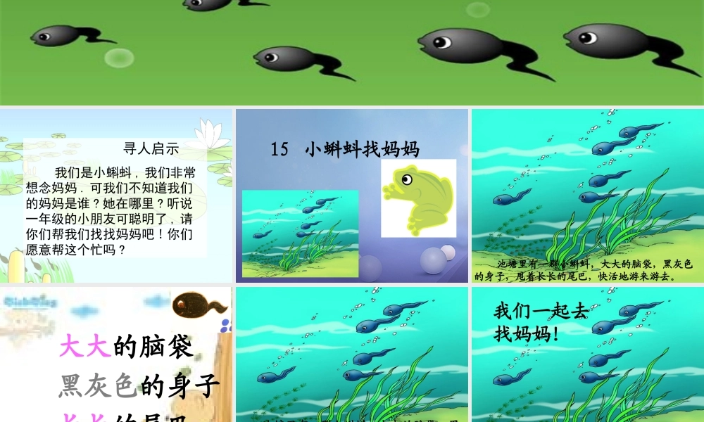 （秋季版）一年级语文下册 课文4 15《小蝌蚪找妈妈》课件3 语文S版-语文S版小学一年级下册语文课件