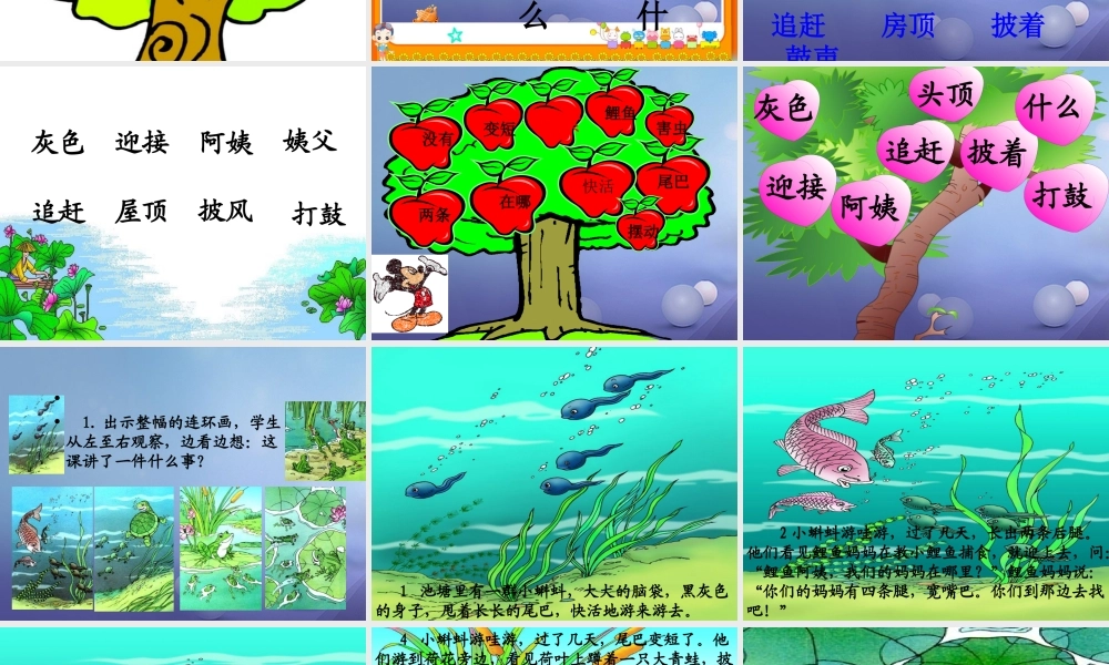 （秋级语文下册 课文4 15《小蝌蚪找妈妈》课件4 语文S版-语文S级下册语文课件