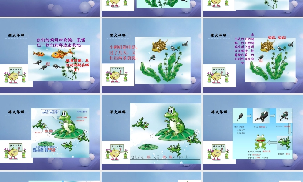 （秋级语文下册 课文4 15《小蝌蚪找妈妈》课件5 语文S版-语文S级下册语文课件