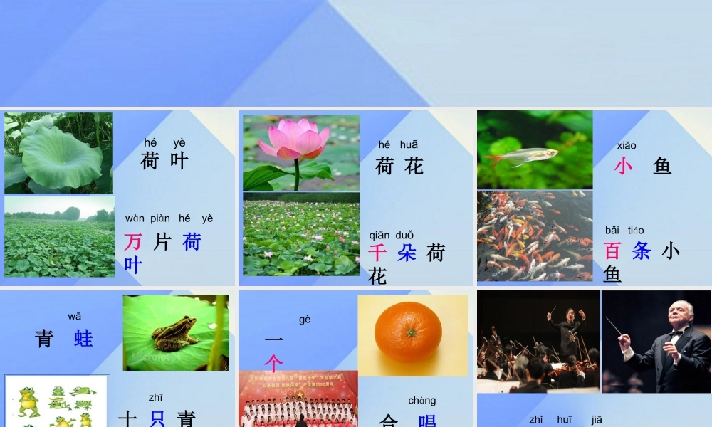 （秋季版）一年级语文上册 识字2 万片荷叶课件1 苏教版-苏教版小学一年级上册语文课件