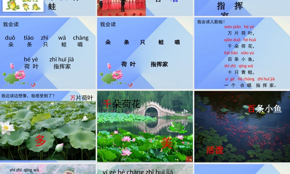 （秋季版）一年级语文上册 识字2 万片荷叶课件1 苏教版-苏教版小学一年级上册语文课件