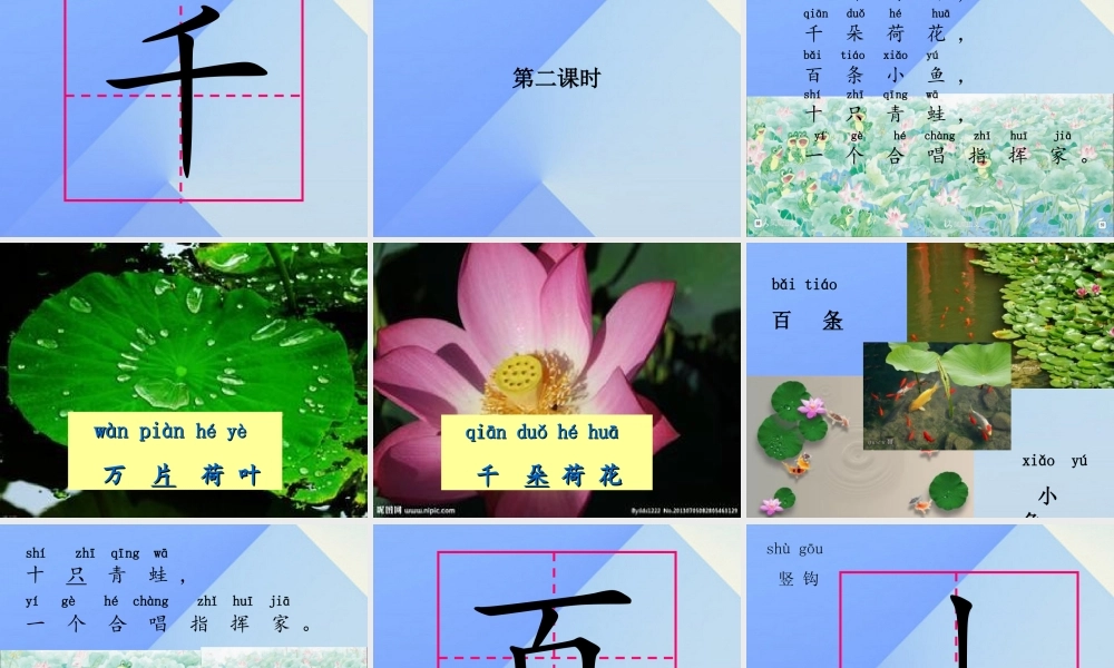 （秋级语文上册 识字2 万片荷叶课件3 苏教版-苏教级上册语文课件