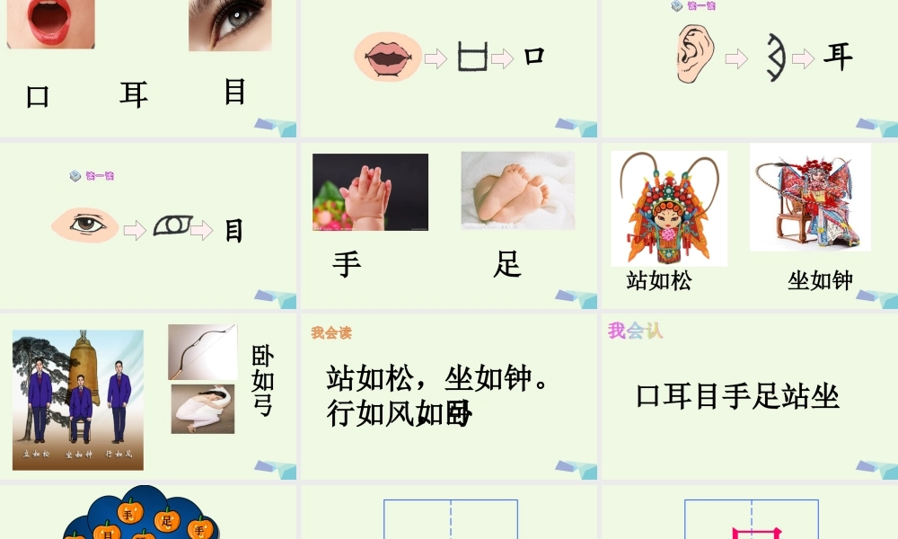 （秋季版）一年级语文上册 识字3 口耳目课件1 新人教版-新人教版小学一年级上册语文课件