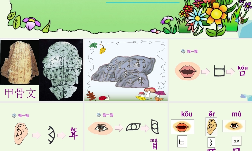 （秋季版）一年级语文上册 识字3 口耳目课件4 新人教版-新人教版小学一年级上册语文课件