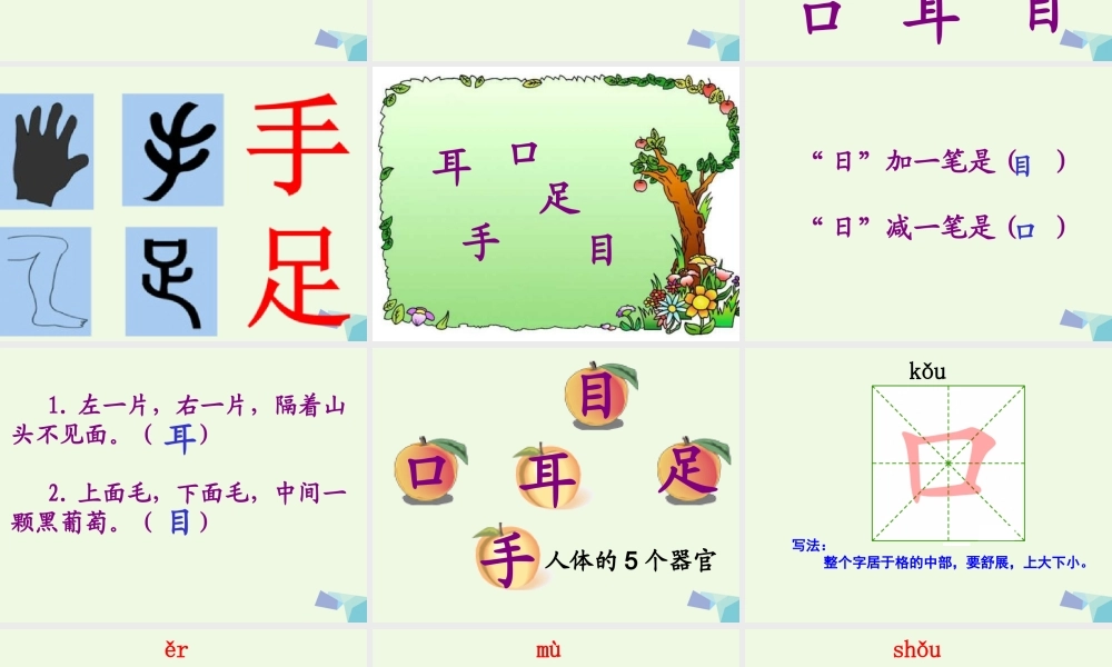 （秋季版）一年级语文上册 识字3 口耳目课件4 新人教版-新人教版小学一年级上册语文课件