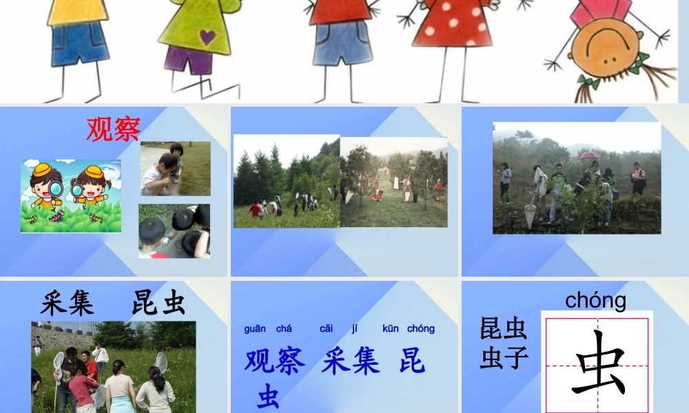 （秋季版）一年级语文上册 识字5 观察 采集 昆虫课件1 苏教版-苏教版小学一年级上册语文课件
