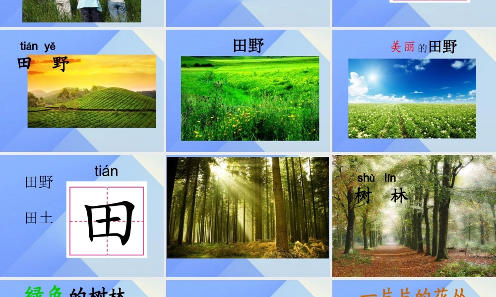 （秋级语文上册 识字5 观察 采集 昆虫课件1 苏教版-苏教级上册语文课件