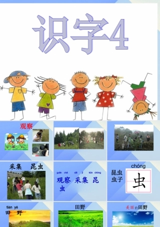 （秋级语文上册 识字5 观察 采集 昆虫课件1 苏教版-苏教级上册语文课件