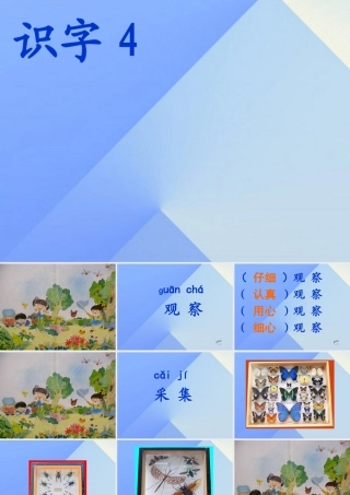 （秋季版）一年级语文上册 识字5 观察 采集 昆虫课件2 苏教版-苏教版小学一年级上册语文课件