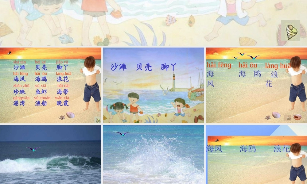 （秋季版）一年级语文上册 识字6 沙滩 贝壳 脚丫课件 苏教版-苏教版小学一年级上册语文课件