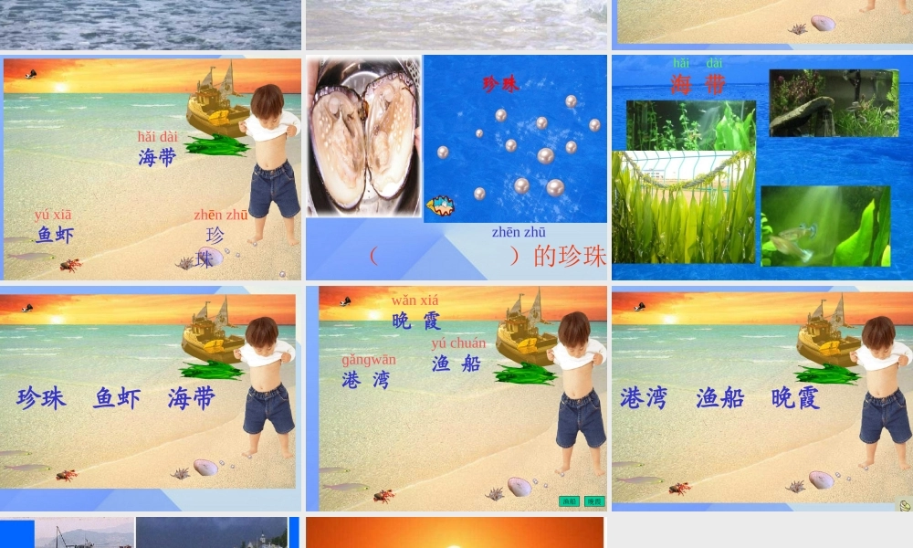 （秋季版）一年级语文上册 识字6 沙滩 贝壳 脚丫课件 苏教版-苏教版小学一年级上册语文课件