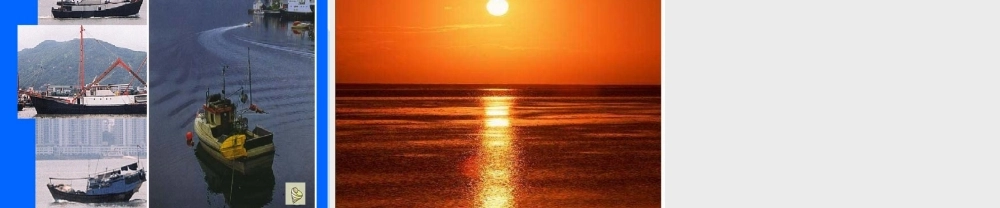 （秋季版）一年级语文上册 识字6 沙滩 贝壳 脚丫课件 苏教版-苏教版小学一年级上册语文课件