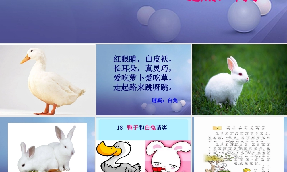 （秋级语文下册 课文5 19 鸭子和白兔请客课件1 语文S版-语文S级下册语文课件