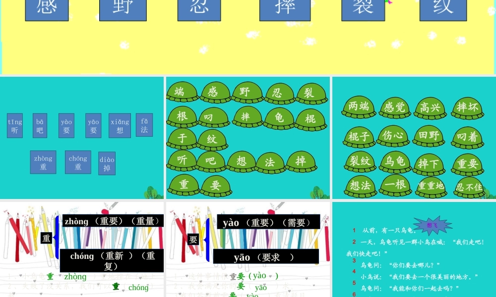 （秋季版）一年级语文下册 11.2 想飞的乌龟课件 北师大版-北师大版小学一年级下册语文课件