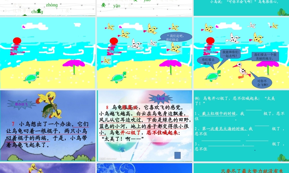 （秋季版）一年级语文下册 11.2 想飞的乌龟课件 北师大版-北师大版小学一年级下册语文课件