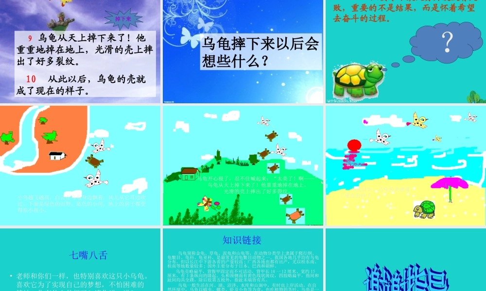 （秋季版）一年级语文下册 11.2 想飞的乌龟课件 北师大版-北师大版小学一年级下册语文课件