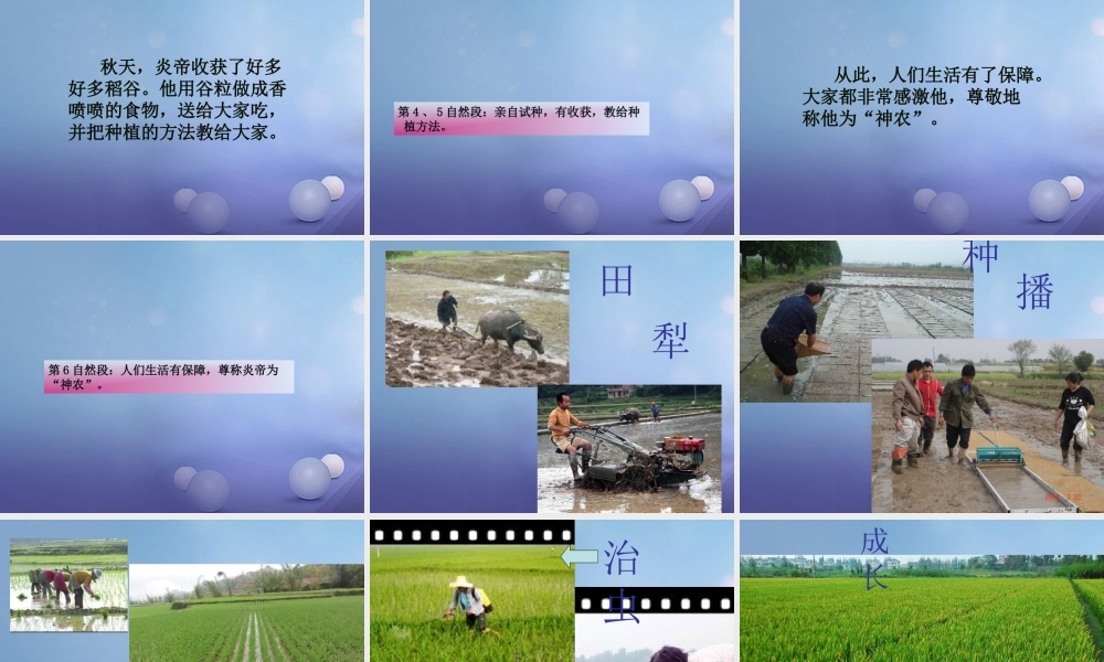 （秋季版）一年级语文下册 课文6 22 炎帝种谷课件 语文S版-语文S版小学一年级下册语文课件