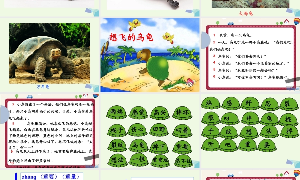 （秋季版）一年级语文下册 11.2 想飞的乌龟课件2 北师大版-北师大版小学一年级下册语文课件