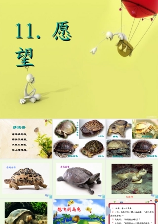 （秋季版）一年级语文下册 11.2 想飞的乌龟课件2 北师大版-北师大版小学一年级下册语文课件