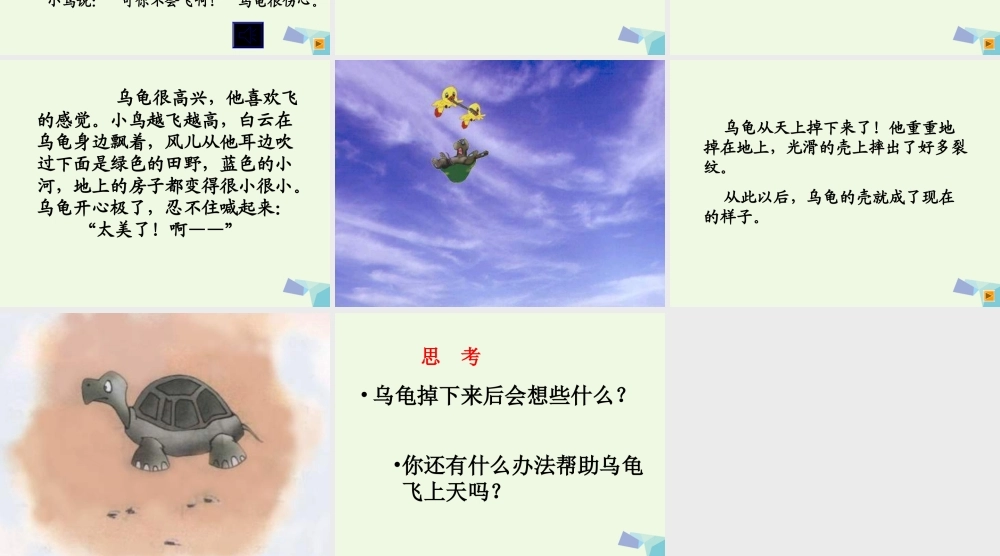 （秋季版）一年级语文下册 11.2 想飞的乌龟课件3 北师大版-北师大版小学一年级下册语文课件