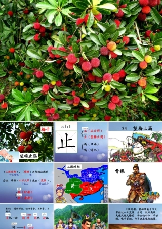 （秋季版）一年级语文下册 课文6 23望梅止渴课件 语文S版-语文S版小学一年级下册语文课件