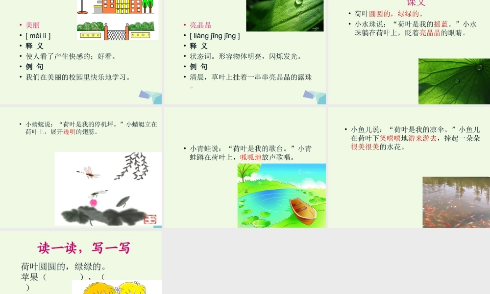 （秋级语文下册 课文13 荷叶圆圆课件 新人教版-新人教级下册语文课件