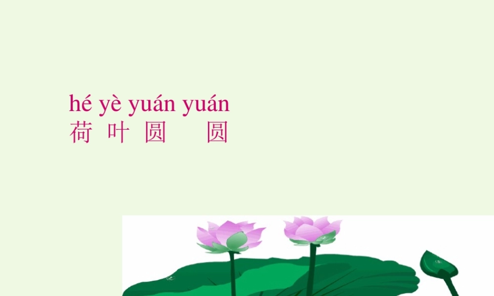 （秋季版）一年级语文下册 课文13 荷叶圆圆课件 新人教版-新人教版小学一年级下册语文课件