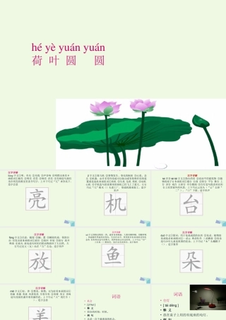（秋季版）一年级语文下册 课文13 荷叶圆圆课件 新人教版-新人教版小学一年级下册语文课件