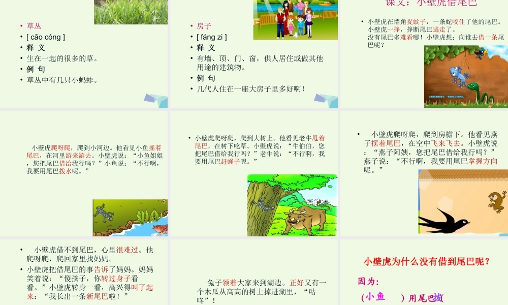 （秋级语文下册 课文21 小壁虎借尾巴课件 新人教版-新人教级下册语文课件