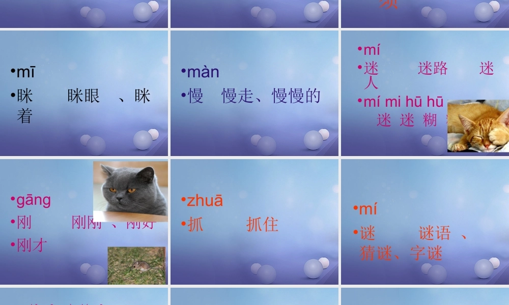 （秋级语文下册 识字（二）6 猫和老鼠课件1 语文S版-语文S级下册语文课件