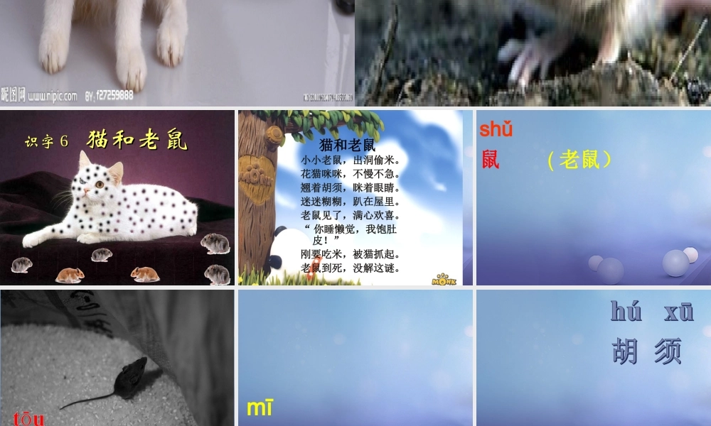 （秋季版）一年级语文下册 识字（二）6 猫和老鼠课件3 语文S版-语文S版小学一年级下册语文课件