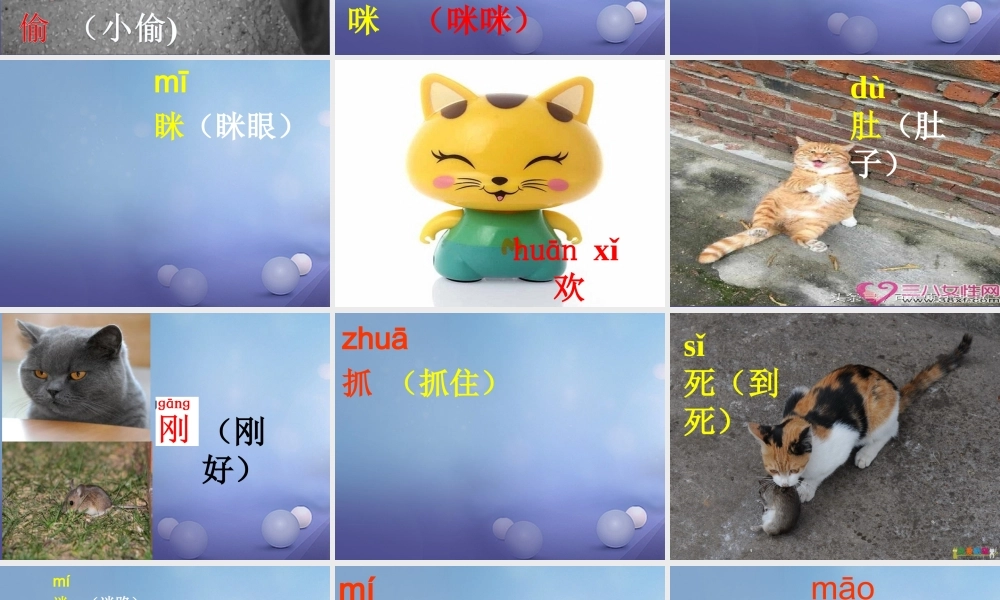 （秋季版）一年级语文下册 识字（二）6 猫和老鼠课件3 语文S版-语文S版小学一年级下册语文课件