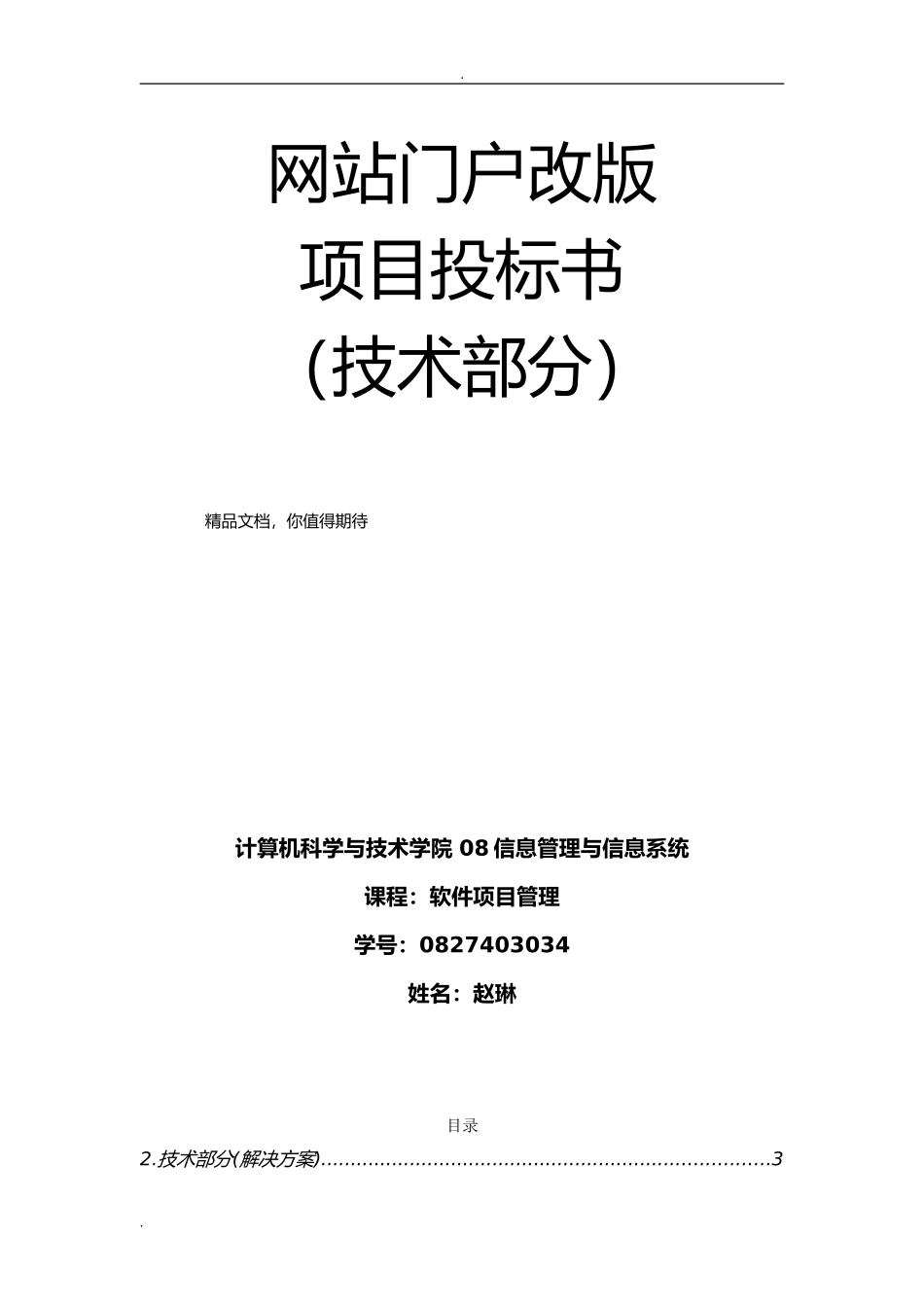 软件开发投标书_第1页