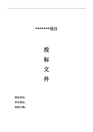 投标书版本、格式