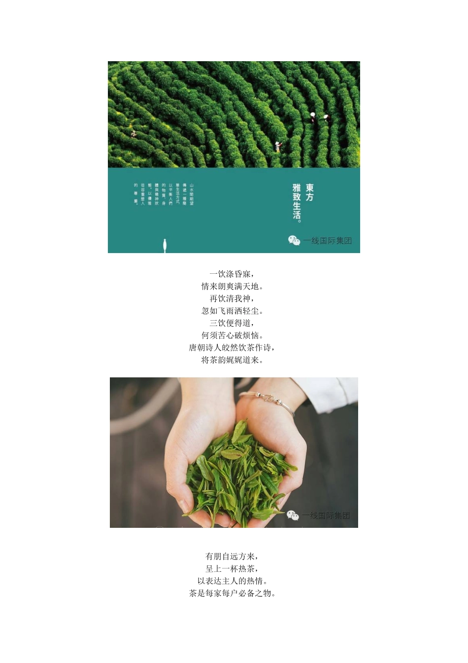 【百航倾情推荐】饮茶千年，传华夏神韵_第2页