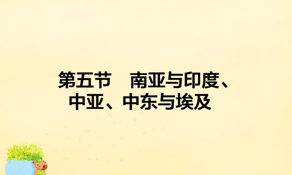-高考地理一轮复习 区域地理 第2章 世界地理 第5节 南亚与印度、中亚、中东与埃及课件-人教版高三全册地理课件