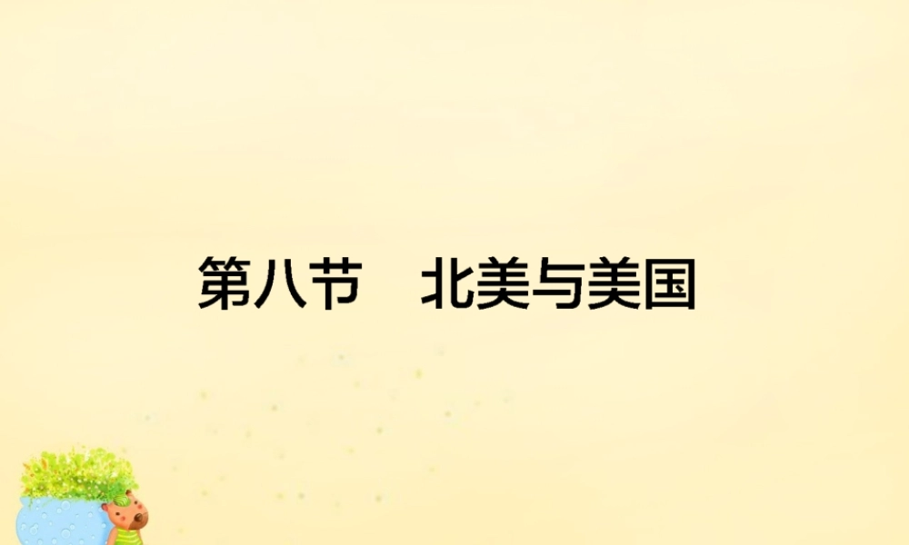 -高考地理一轮复习 区域地理 第2章 世界地理 第8节 北美与美国课件-人教版高三全册地理课件