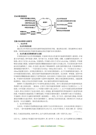 高三生物专题五 光合作用和呼吸作用与碳循环和能量流动