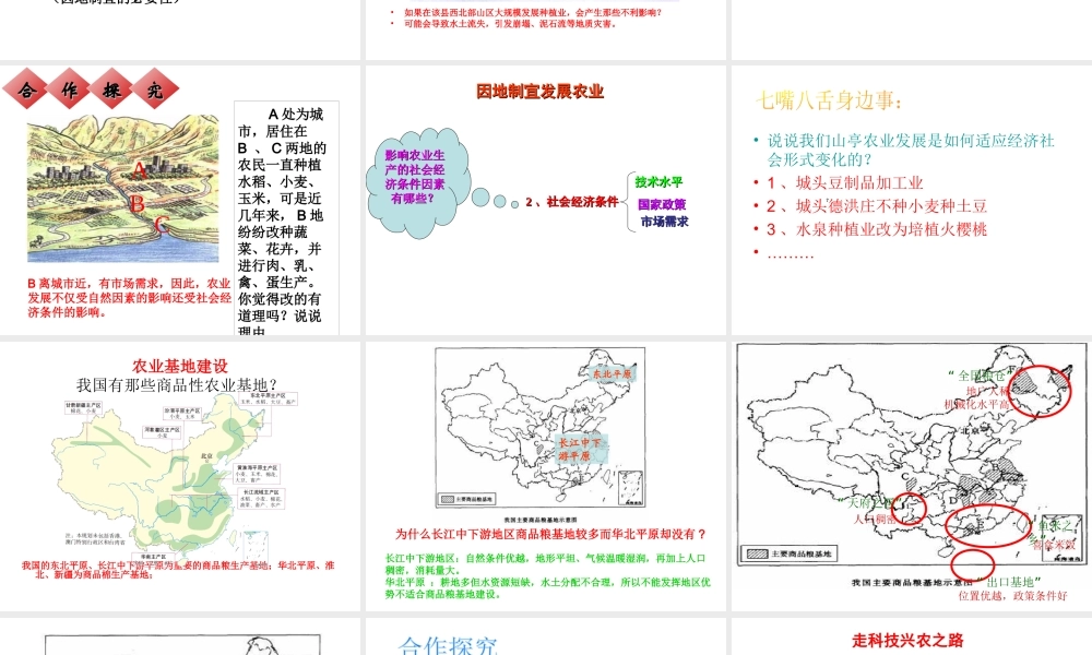 -八年级地理上册 4.1 因地制宜发展农业（第2时）课件 （新版）商务星球版-（新版）商务星球版初中八年级上册地理课件
