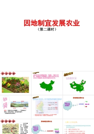 -八年级地理上册 4.1 因地制宜发展农业（第2时）课件 （新版）商务星球版-（新版）商务星球版初中八年级上册地理课件