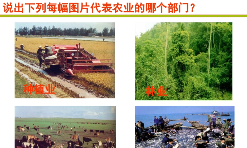 -八年级地理上册 4.2持续协调发展工业（第1课时）课件 （新版）商务星球版-（新版）商务星球版初中八年级上册地理课件