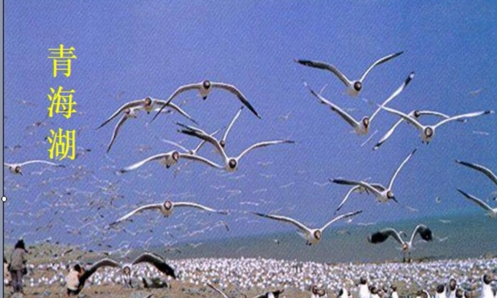 -八年级地理上册 第2章 第3节 河流和湖泊（第1课时）课件 （新版）商务星球版-（新版）商务星球版初中八年级上册地理课件