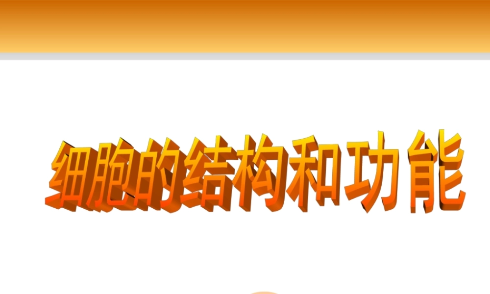 01.细胞的结构和功能