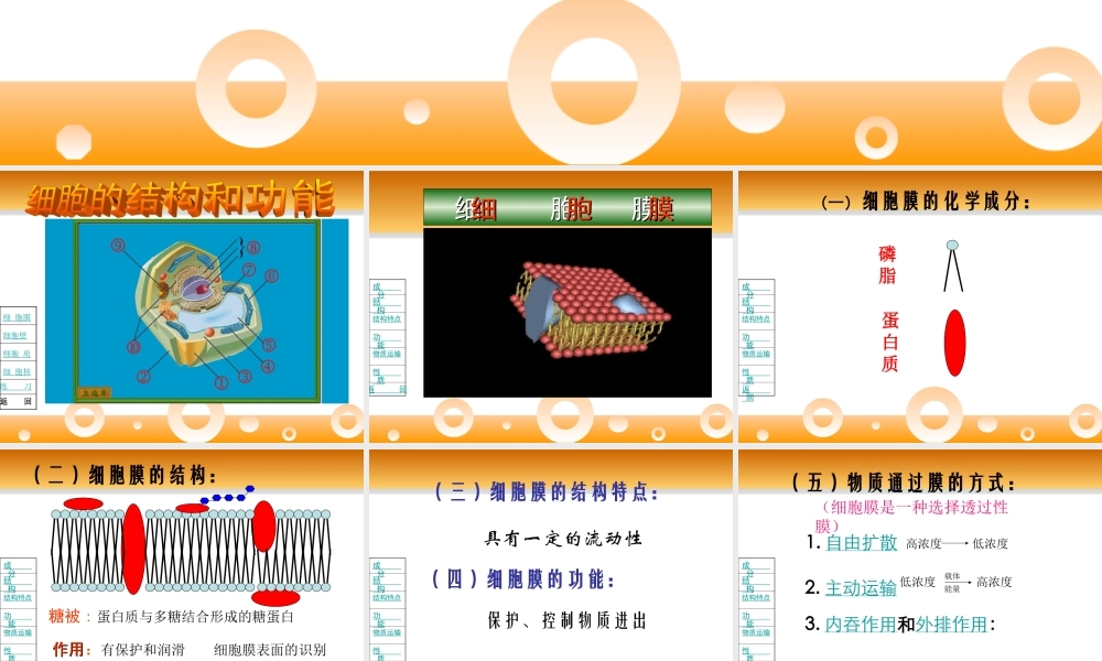 01.细胞的结构和功能