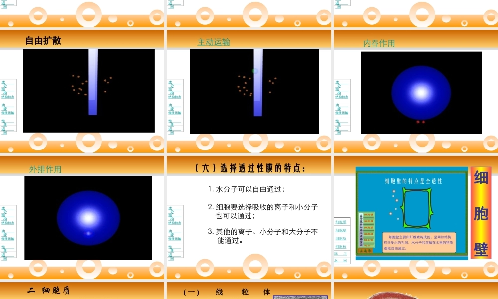 01.细胞的结构和功能